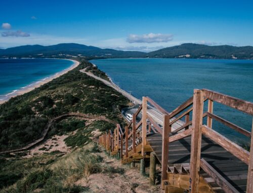 Moving to Tasmania? Make It Easy With These 3 Tips